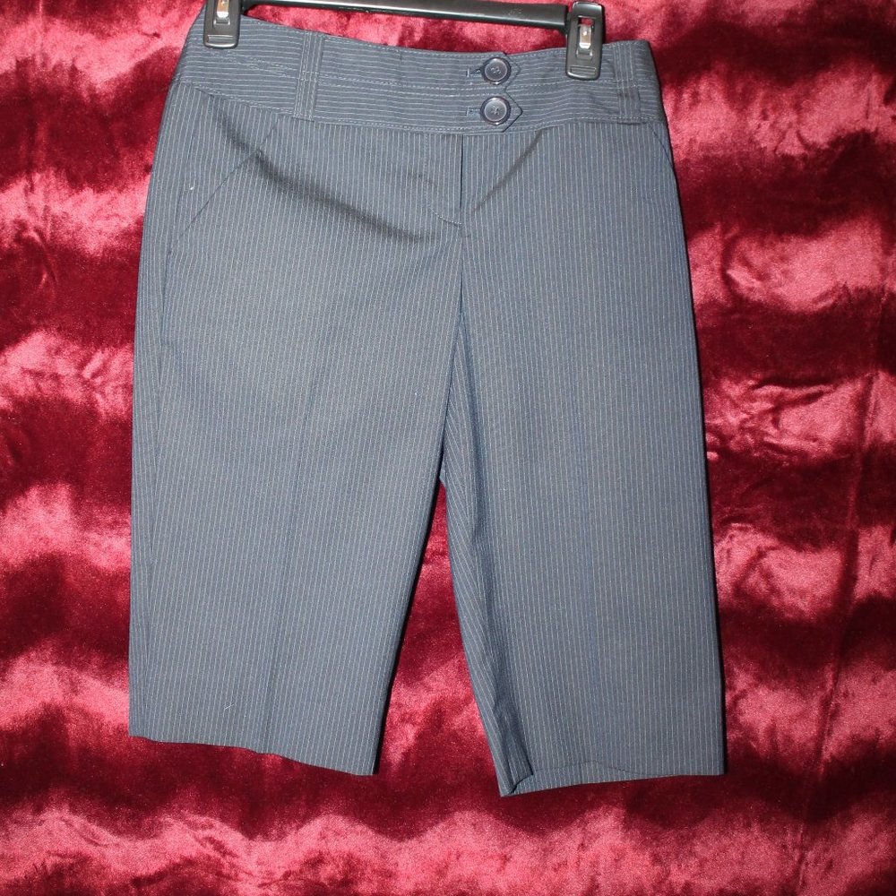 The Limited Cassidy Fit Shorts